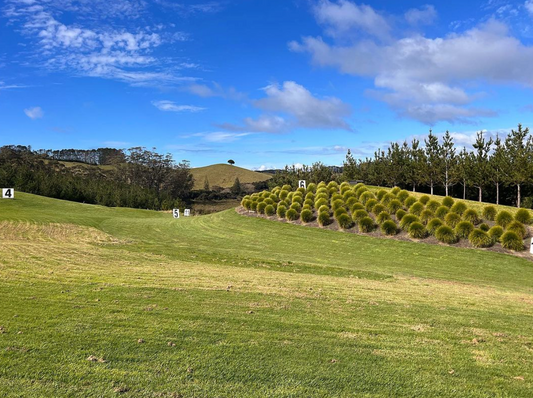 Claybird Shooting & Driving Range